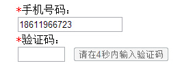 采用Js获取短信验证码前段网站建设效果