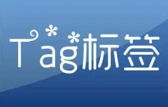 TAG标签